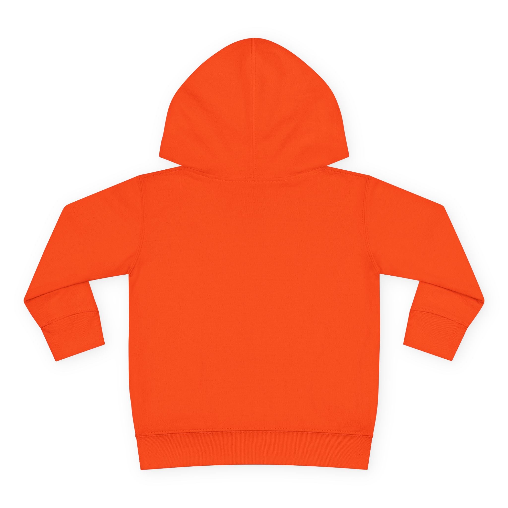 Toddler Hoodie — "I Have Autism Please Be Patient" Awareness Pullover