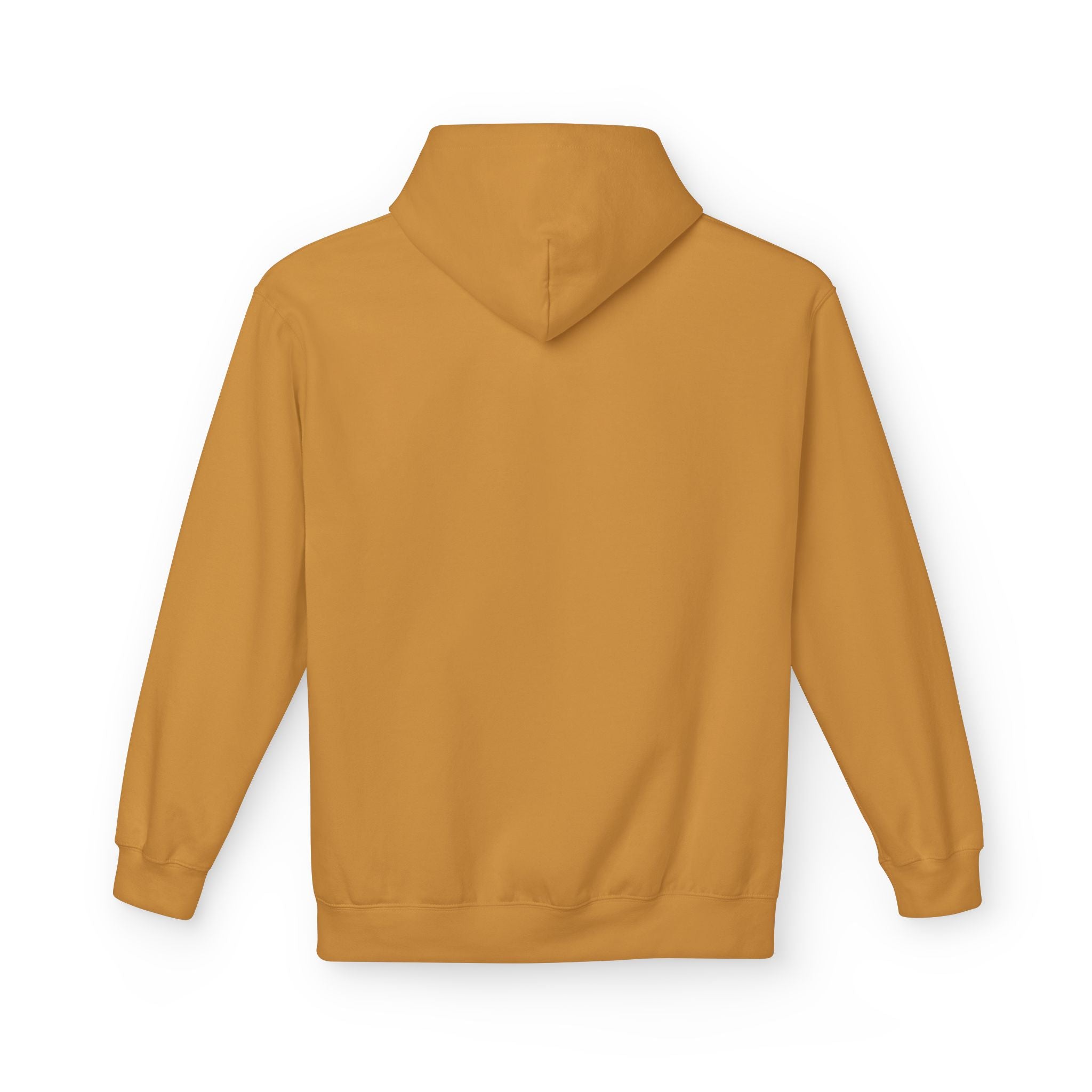 Texas Arch Hoodie — Vintage burnt orange college pullover