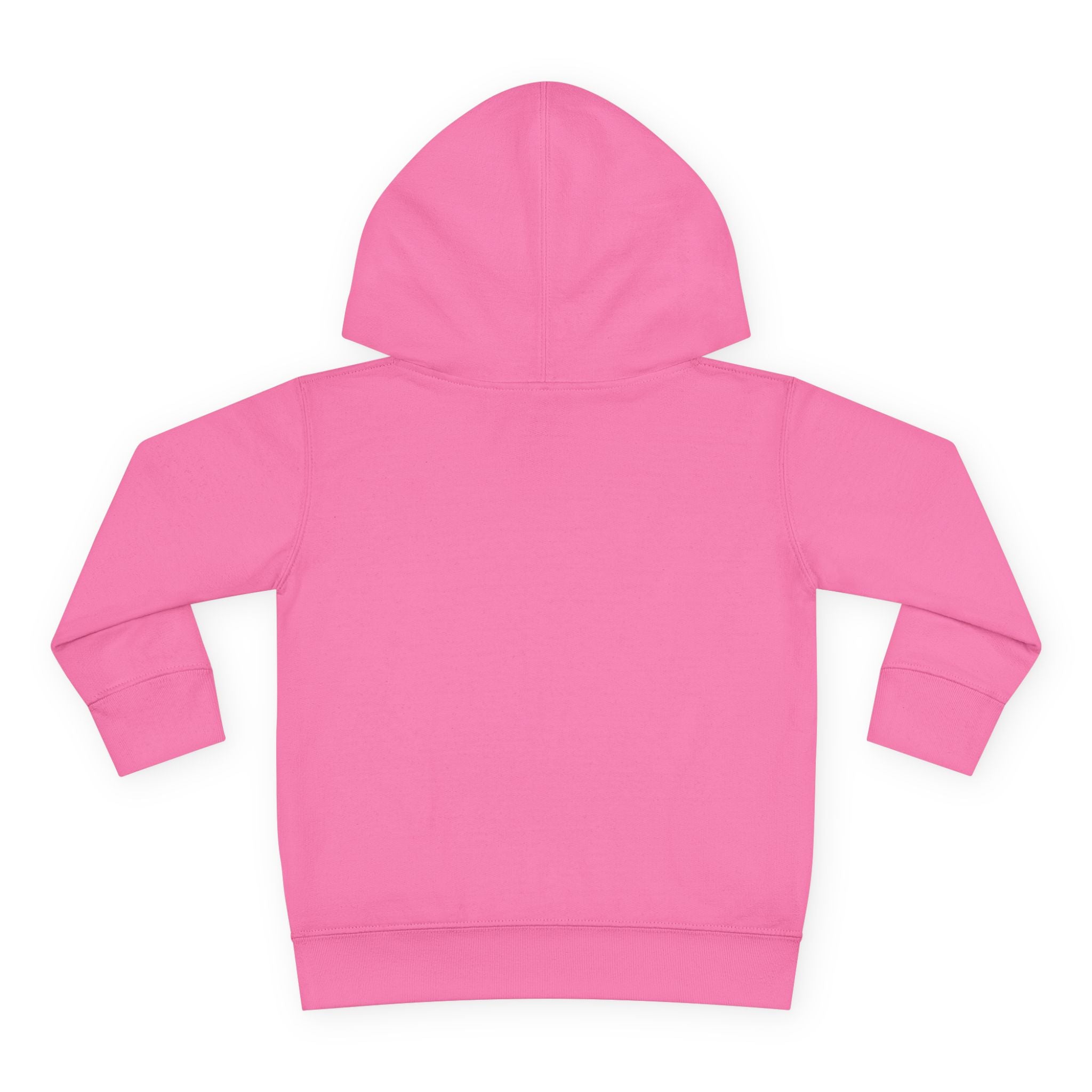 Toddler Hoodie — "I Have Autism Please Be Patient" Awareness Pullover
