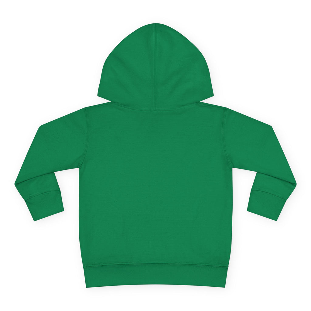 Toddler Hoodie — "I Have Autism Please Be Patient" Awareness Pullover