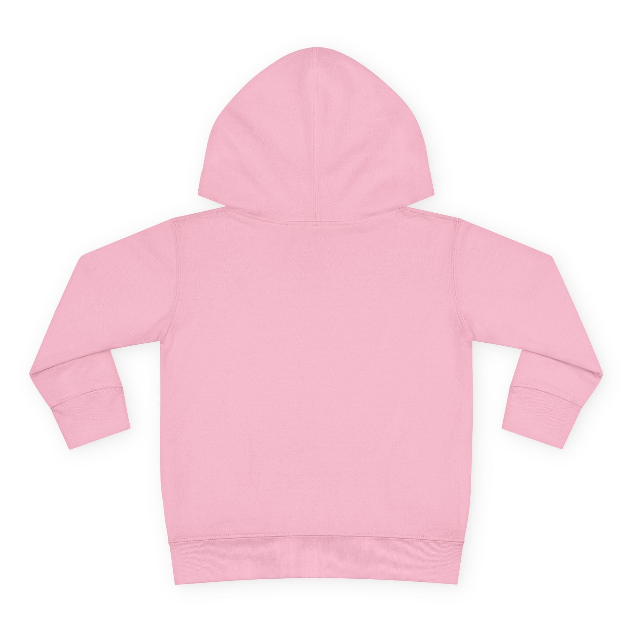 Toddler Hoodie — "I Have Autism Please Be Patient" Awareness Pullover