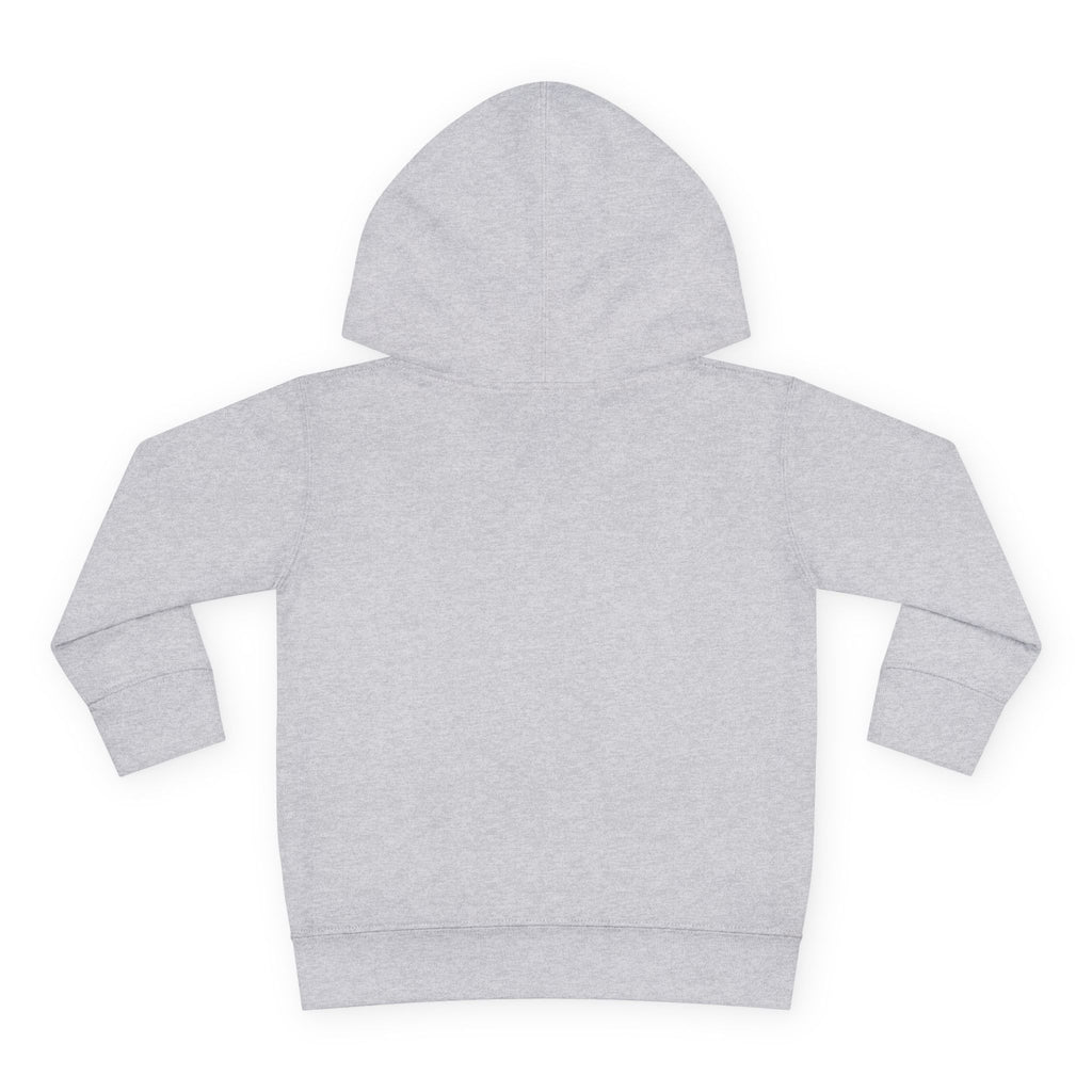 Toddler Hoodie — "I Have Autism Please Be Patient" Awareness Pullover