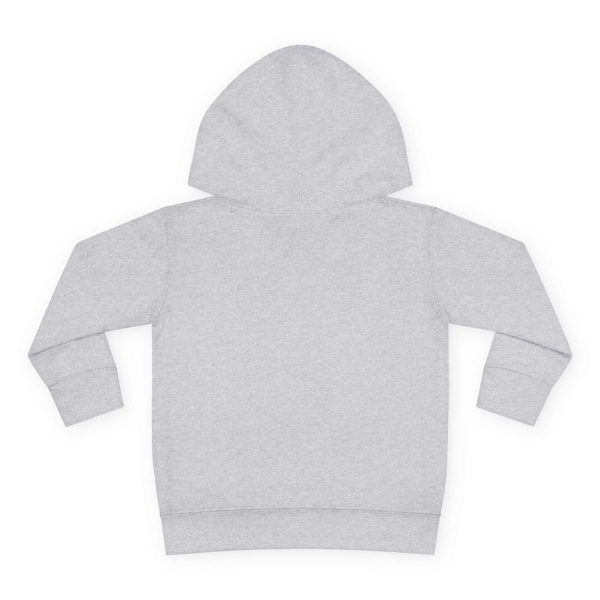 Toddler Hoodie — "I Have Autism Please Be Patient" Awareness Pullover