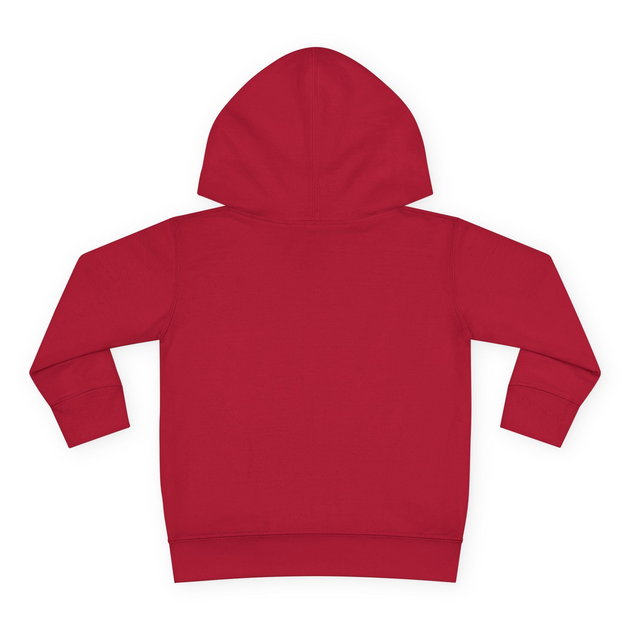 Toddler Hoodie — "I Have Autism Please Be Patient" Awareness Pullover