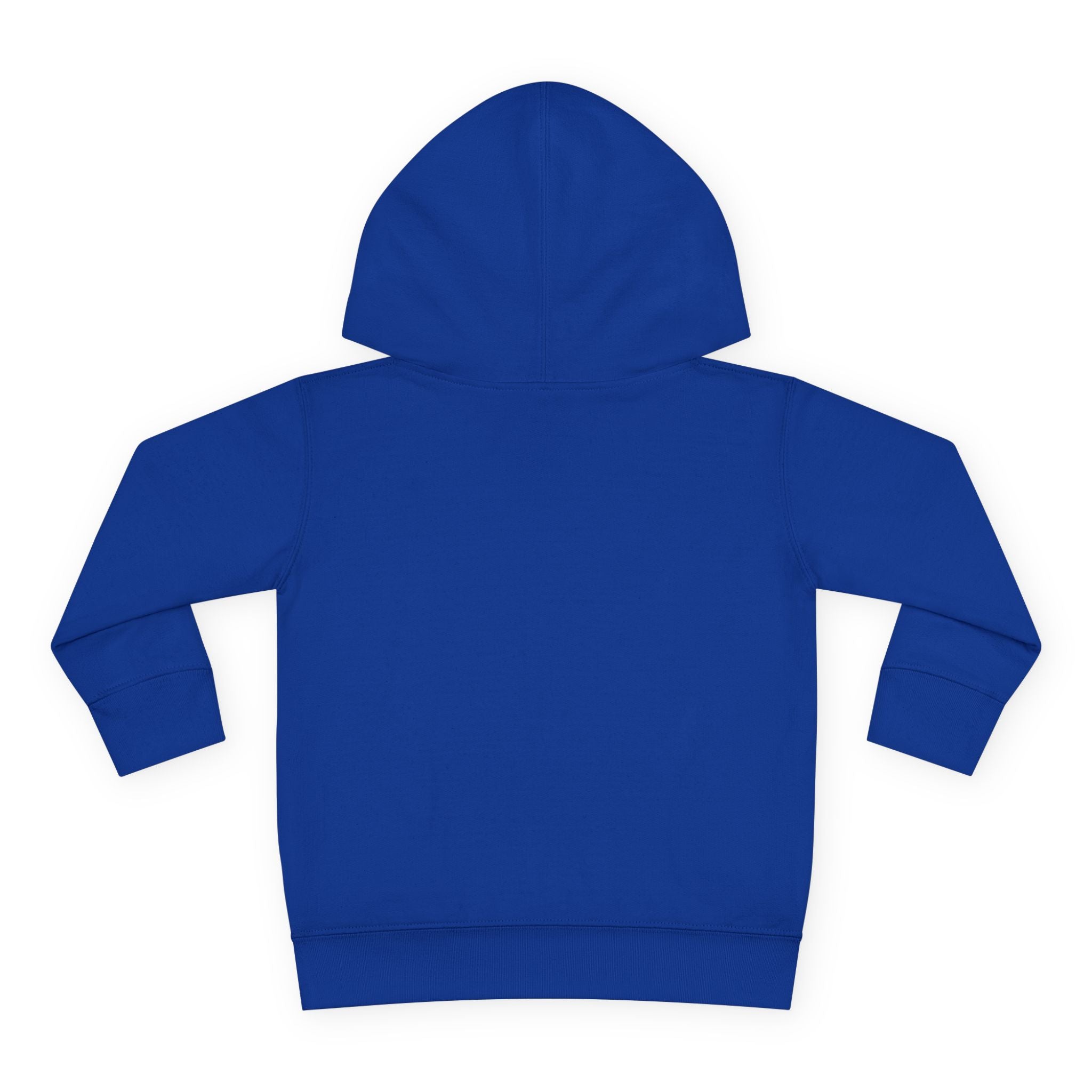 Toddler Hoodie — "I Have Autism Please Be Patient" Awareness Pullover