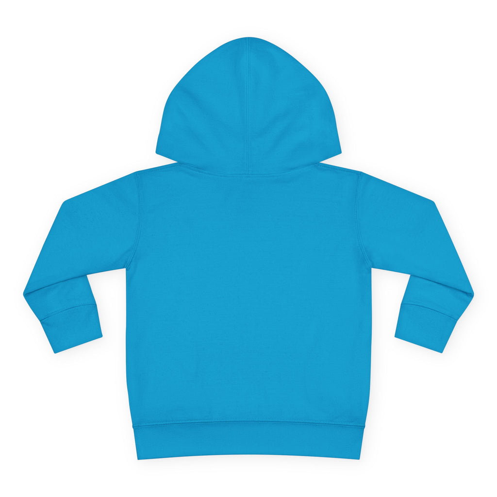 Toddler Hoodie — "I Have Autism Please Be Patient" Awareness Pullover