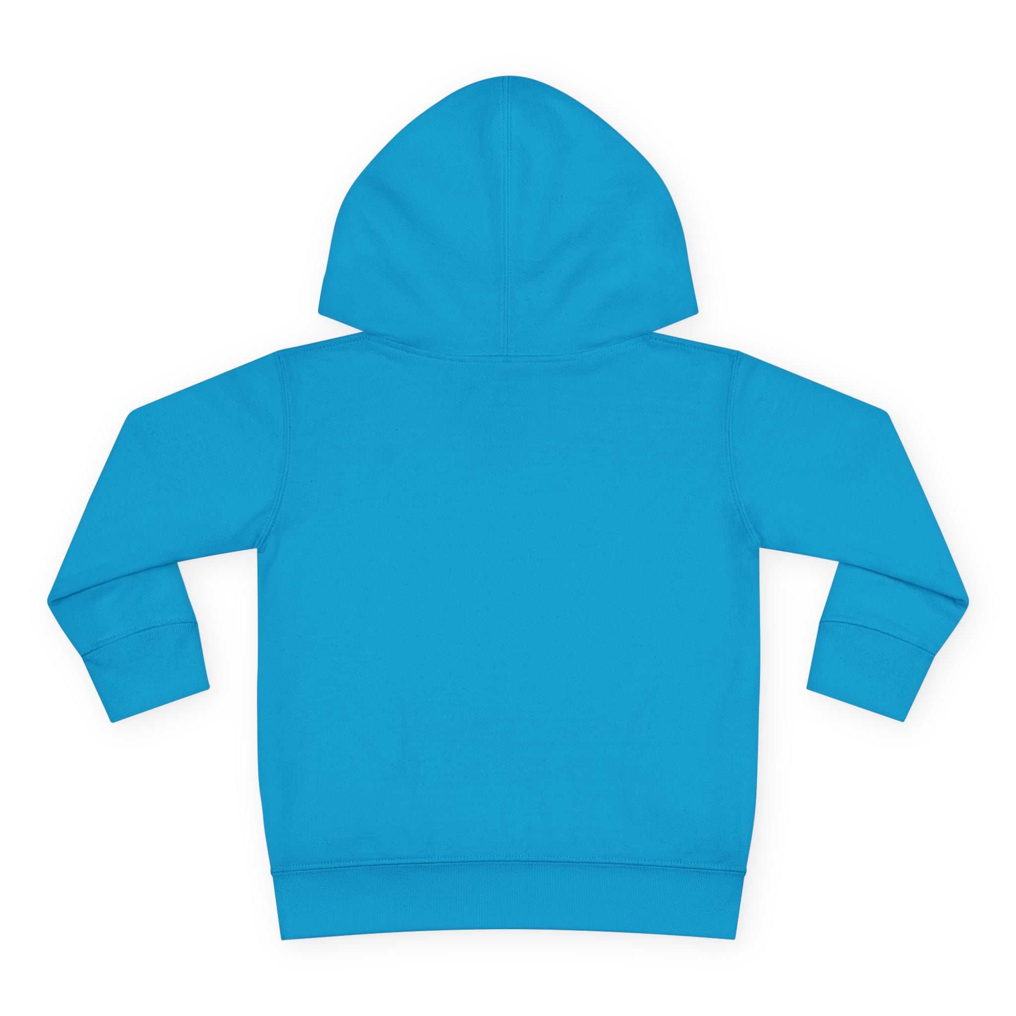 Toddler Hoodie — "I Have Autism Please Be Patient" Awareness Pullover